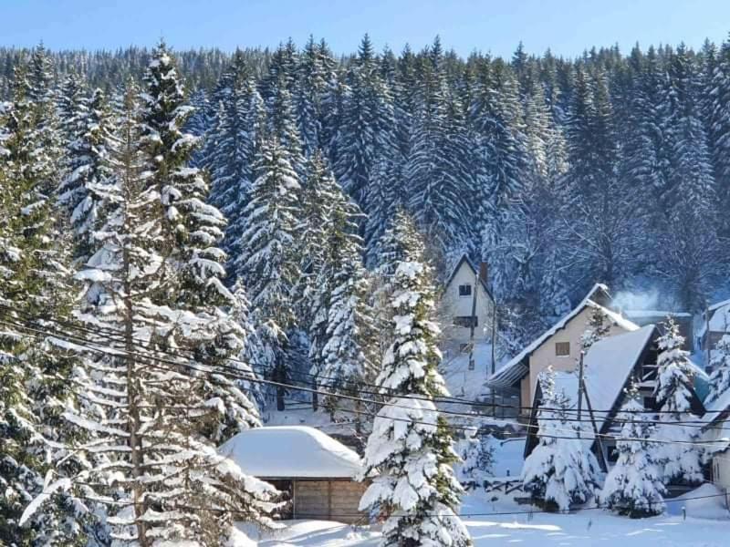 Vila Irina - Apartman Milos Копаоник Экстерьер фото