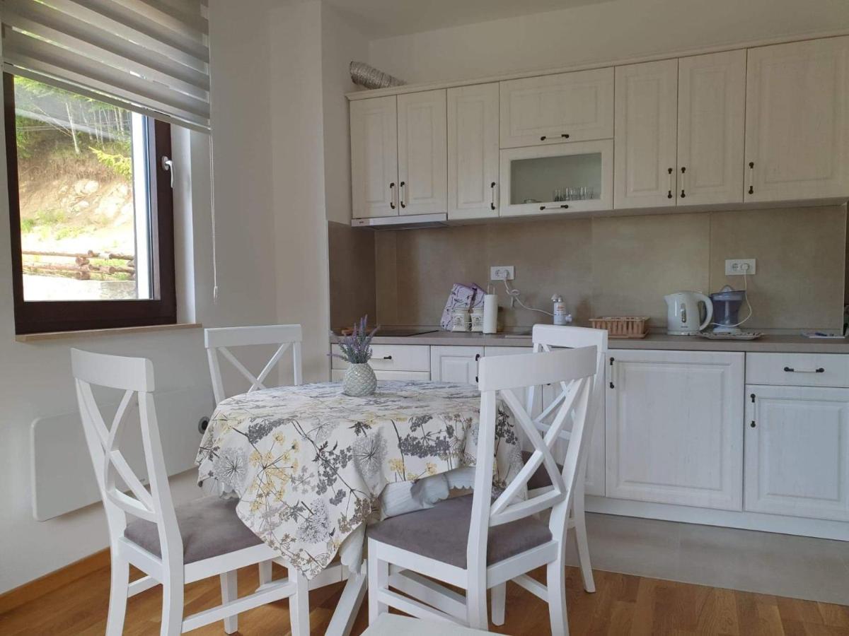 Vila Irina - Apartman Milos Копаоник Экстерьер фото
