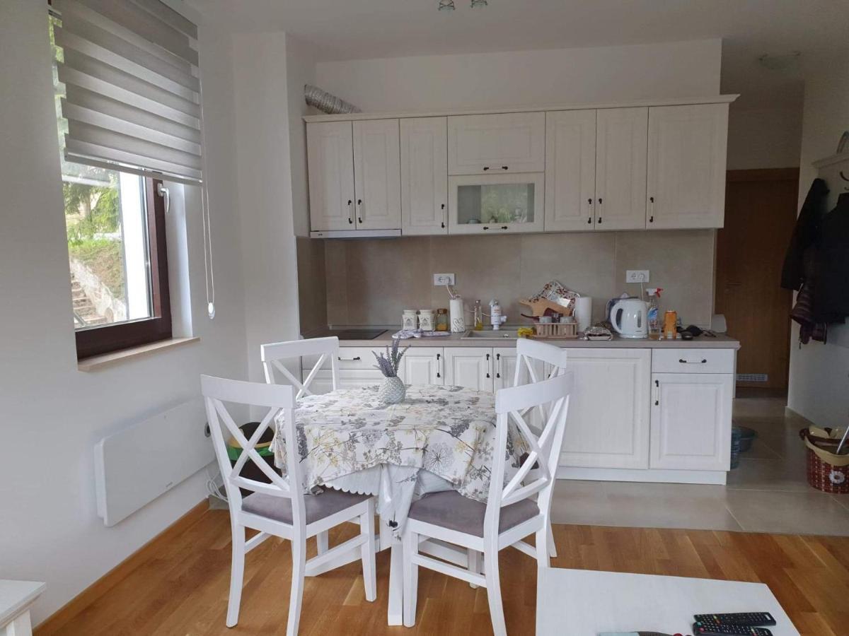 Vila Irina - Apartman Milos Копаоник Экстерьер фото